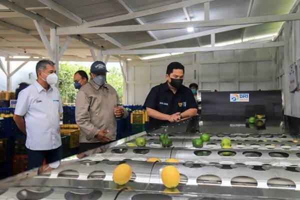 Badan Usaha Milik Desa (BUMDes)